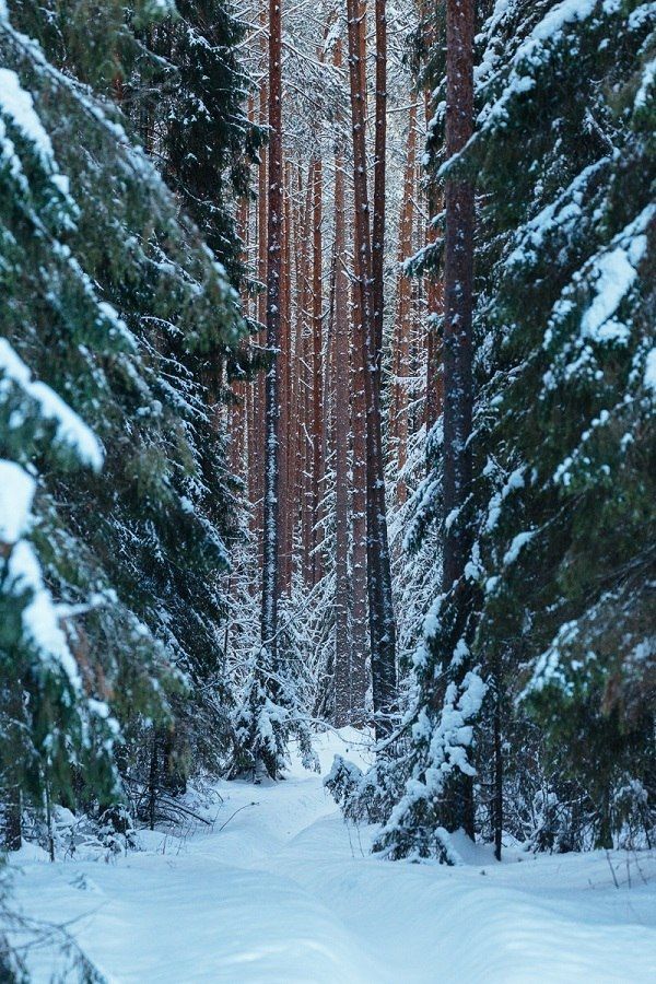 Национальный парк 