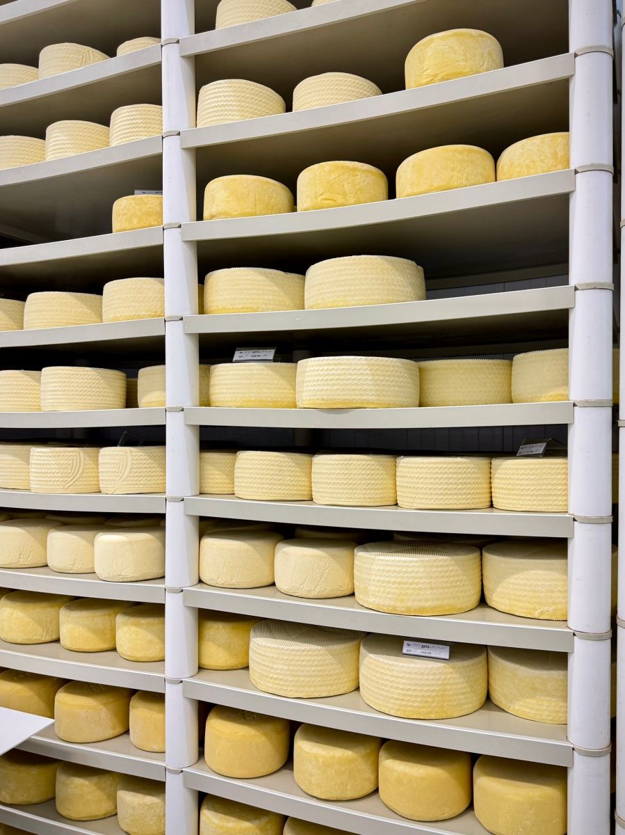 Тур на Сыроварню 