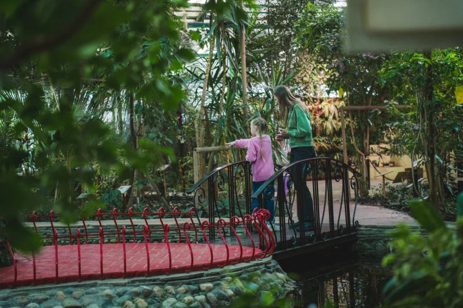 День рождения ботанического сада 