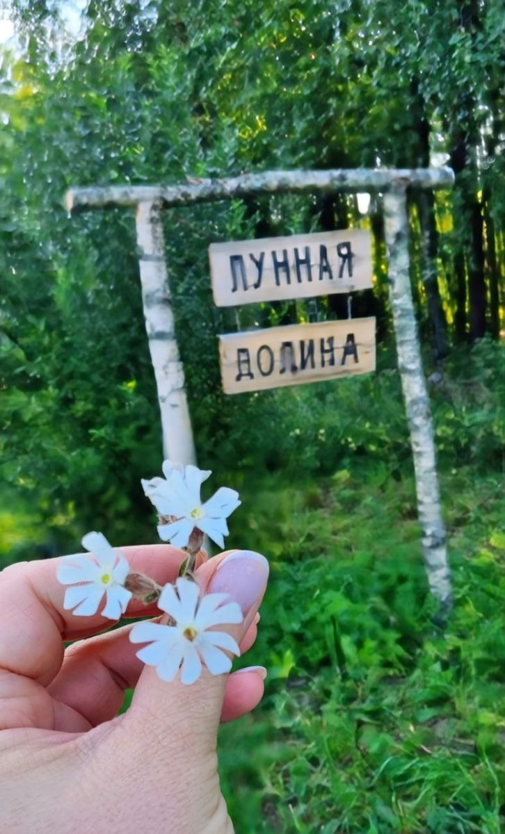 База отдыха | Усадьба 